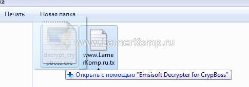 Emsisoft Decrypter for CrypBoss